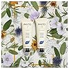 PHYTO 9 Nourishing Day Cream with 9 Plants, 1.7 Ounce