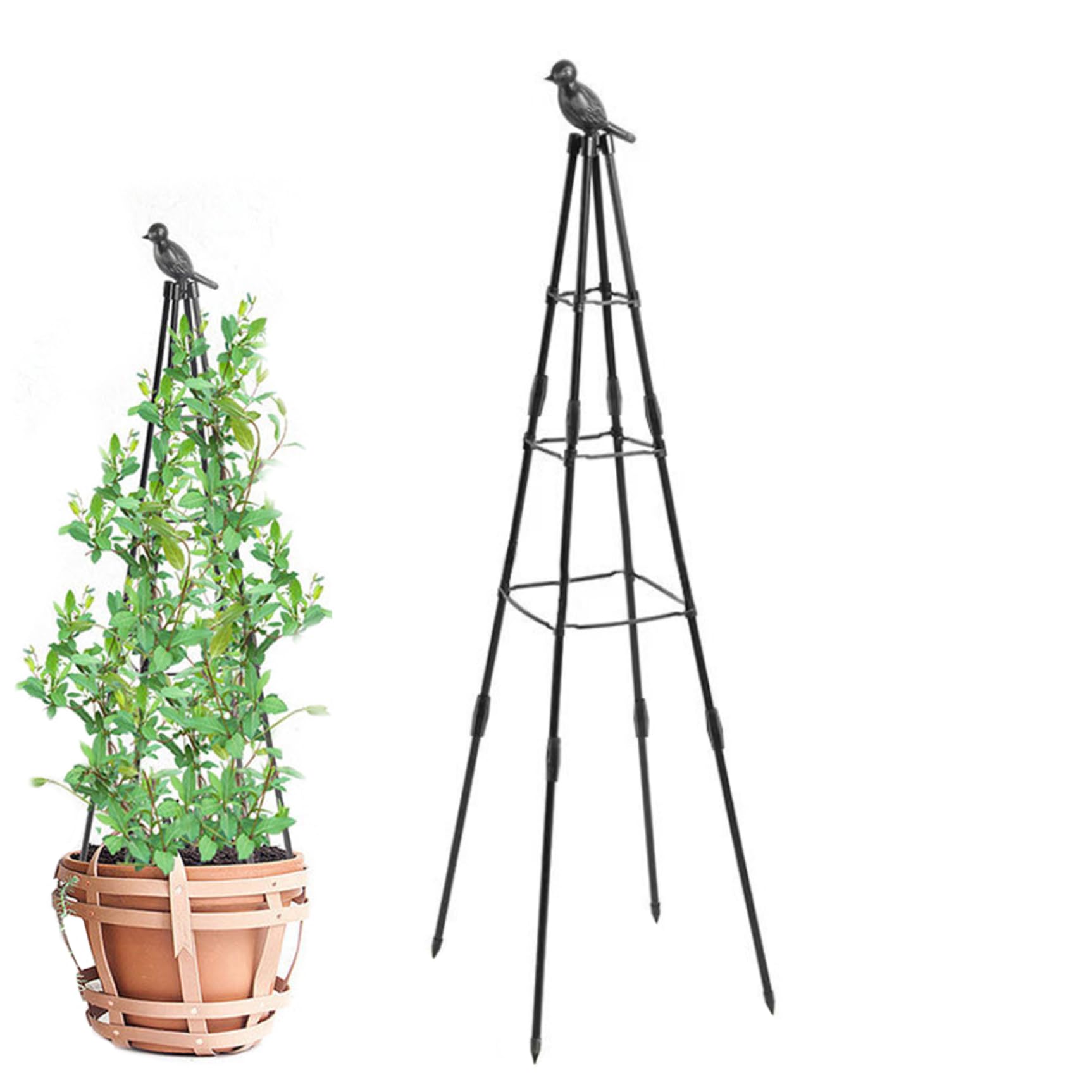 Treillis de jardin réglable obélisque antirouille amovible support fleurs plantes grimpantes