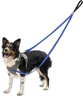 Anti-Zieh Hundegeschirr Leine 2-Punkt Kontrolle – Kein Verheddern, Reflektierend, 360° Drehclip – Für Große & Mittelgroße Hunde beim Training & Spazierengehen (Blau)