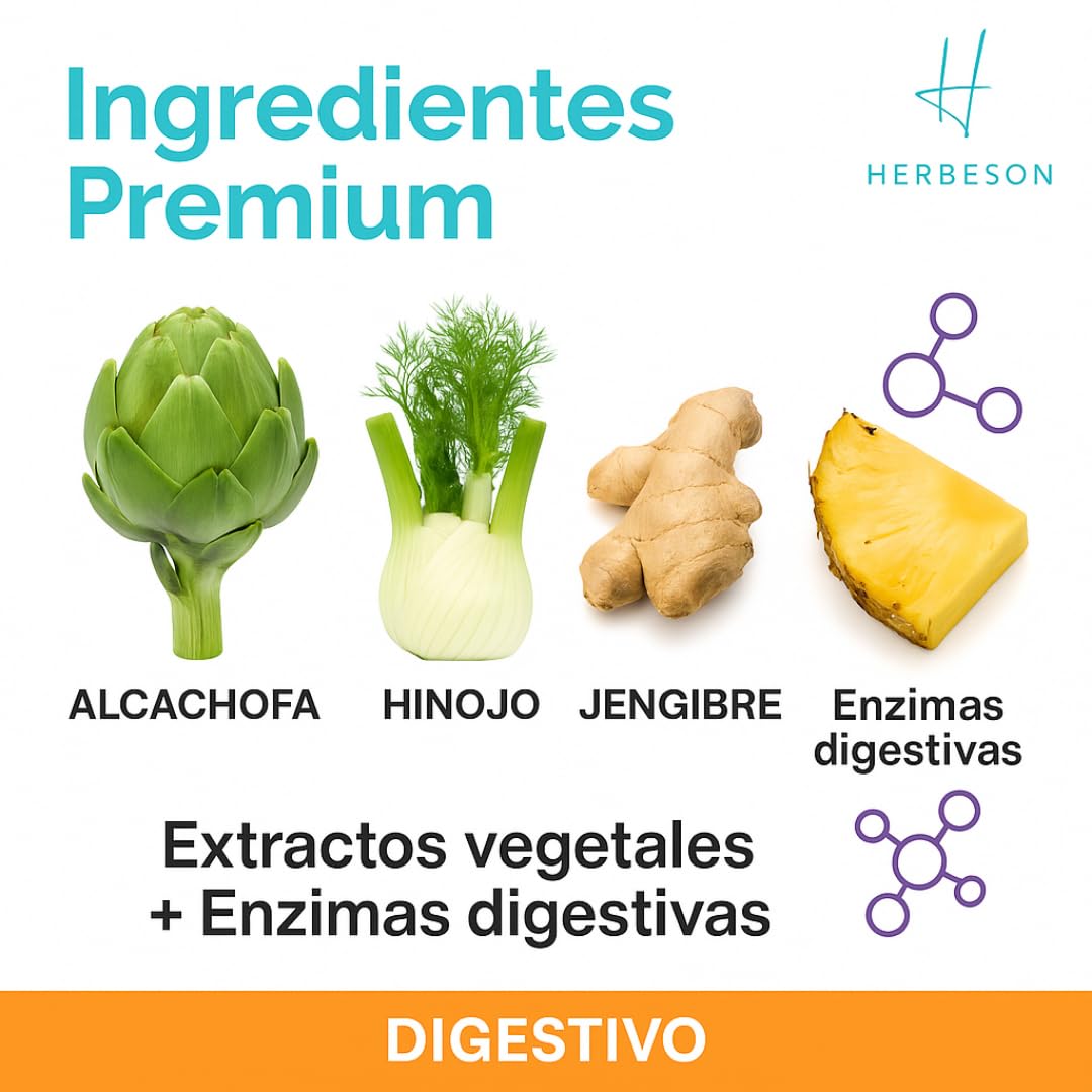 Confort digestivo y vientre plano con Alcachofa, Hinojo y Jengibre – HERBESON HERB DIGEST | Complemento vegano sin gluten con enzimas digestivas y Piña – 60 cápsulas (60)