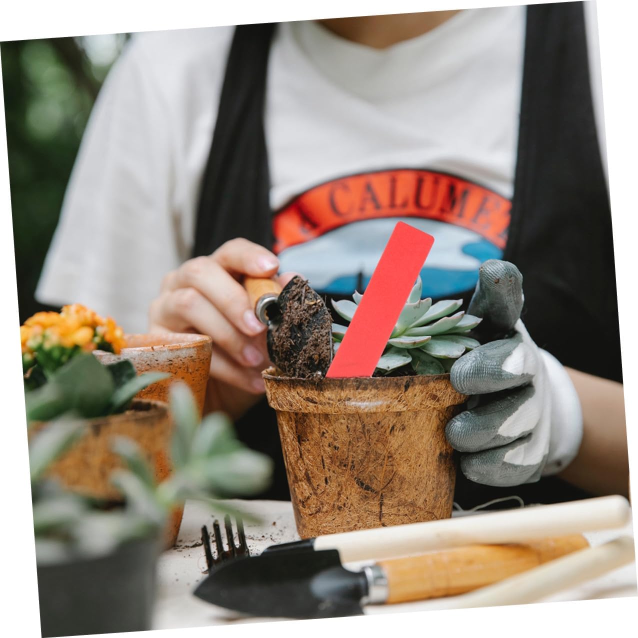 600pcs Waterproof Plastic Plant Tags and Garden Labels Stakes for Flower Pots Multi-Color Small Plant Markers 10x1.8cm for Outdoor Gardening and Succulents