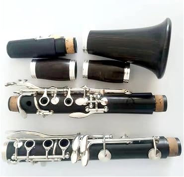 Professional Clarinet Bb Tone Ebony Body 17 Keys Silver Plated Keys Beginner Clarinet Instrument With Case