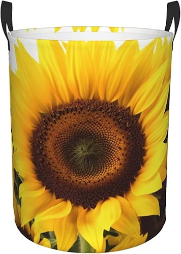 Cesta circular con estampado de girasol, impermeable, organizador de almacenamiento, cesta de lavandería con asas para ropa, juguetes, tamaño mediano