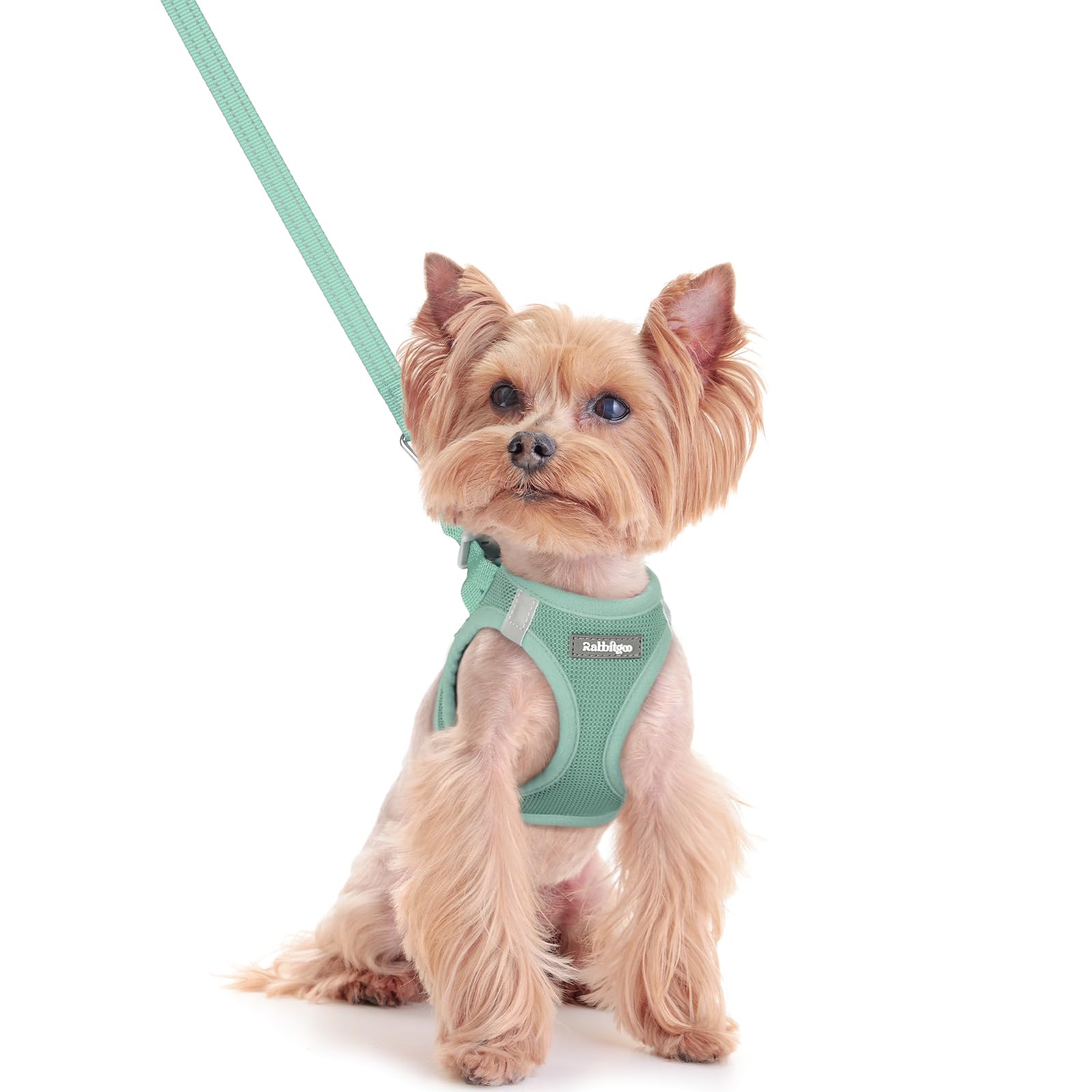 rabbitgoo Dog Harness Small Sized and Leash Set, Step-in Puppy Pet Vest