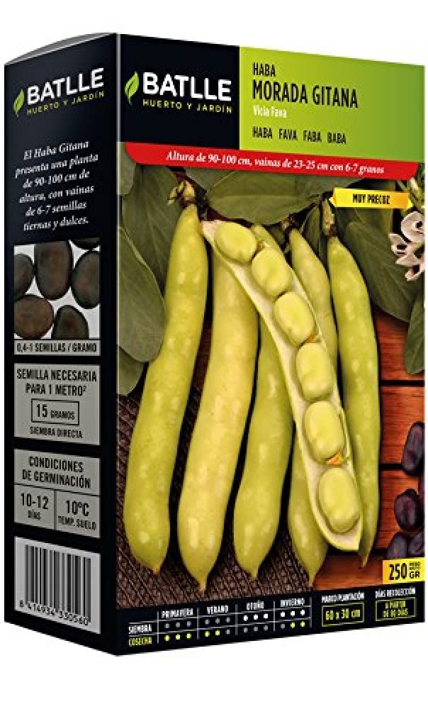 Batlle - Semi di fava