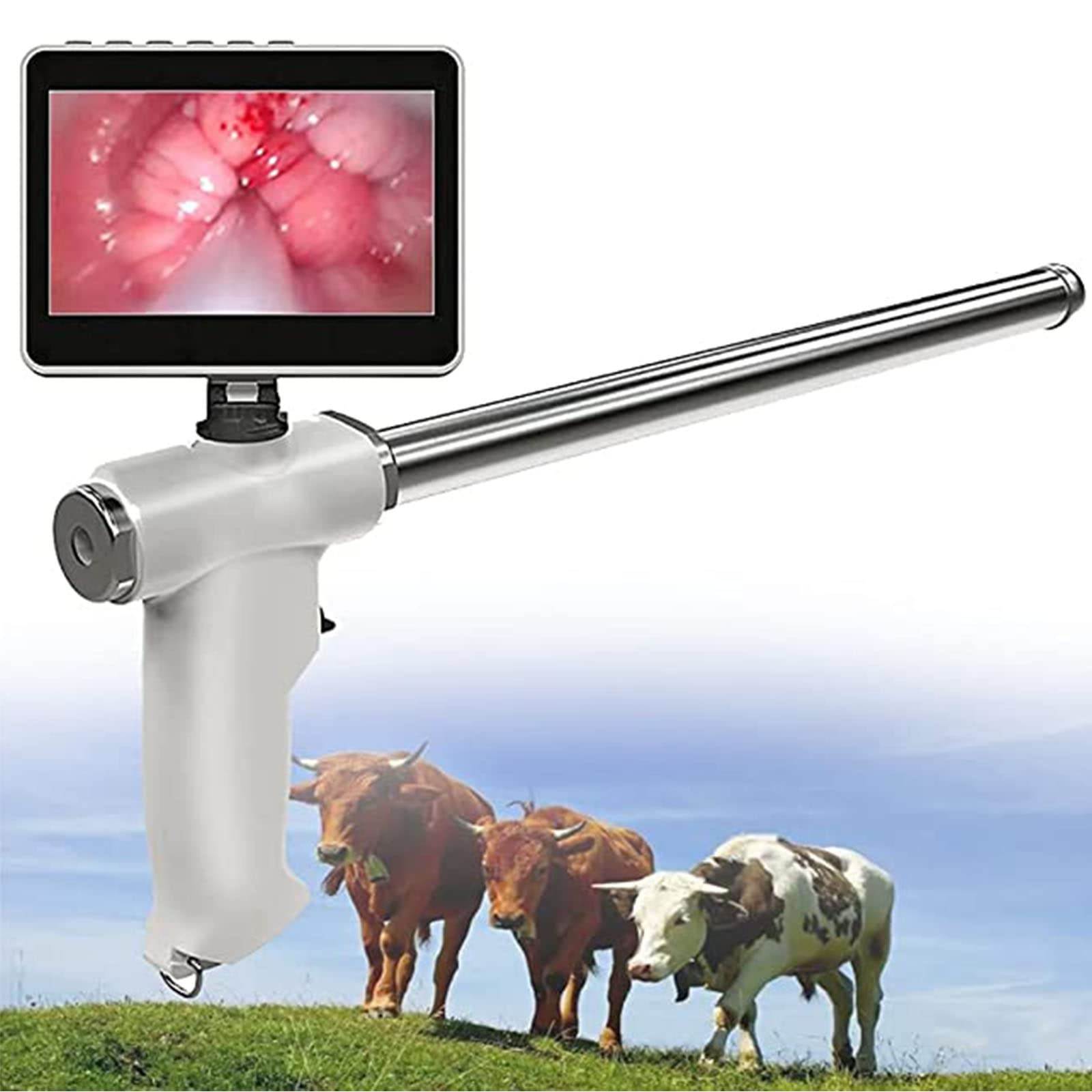Animal Breeding Kit Professional Goat AI Breeding Kit With LED Display -  Stainless Steel Visual Insemination Equipment For Sheep & Deer Veterinary  Insemination Equipment