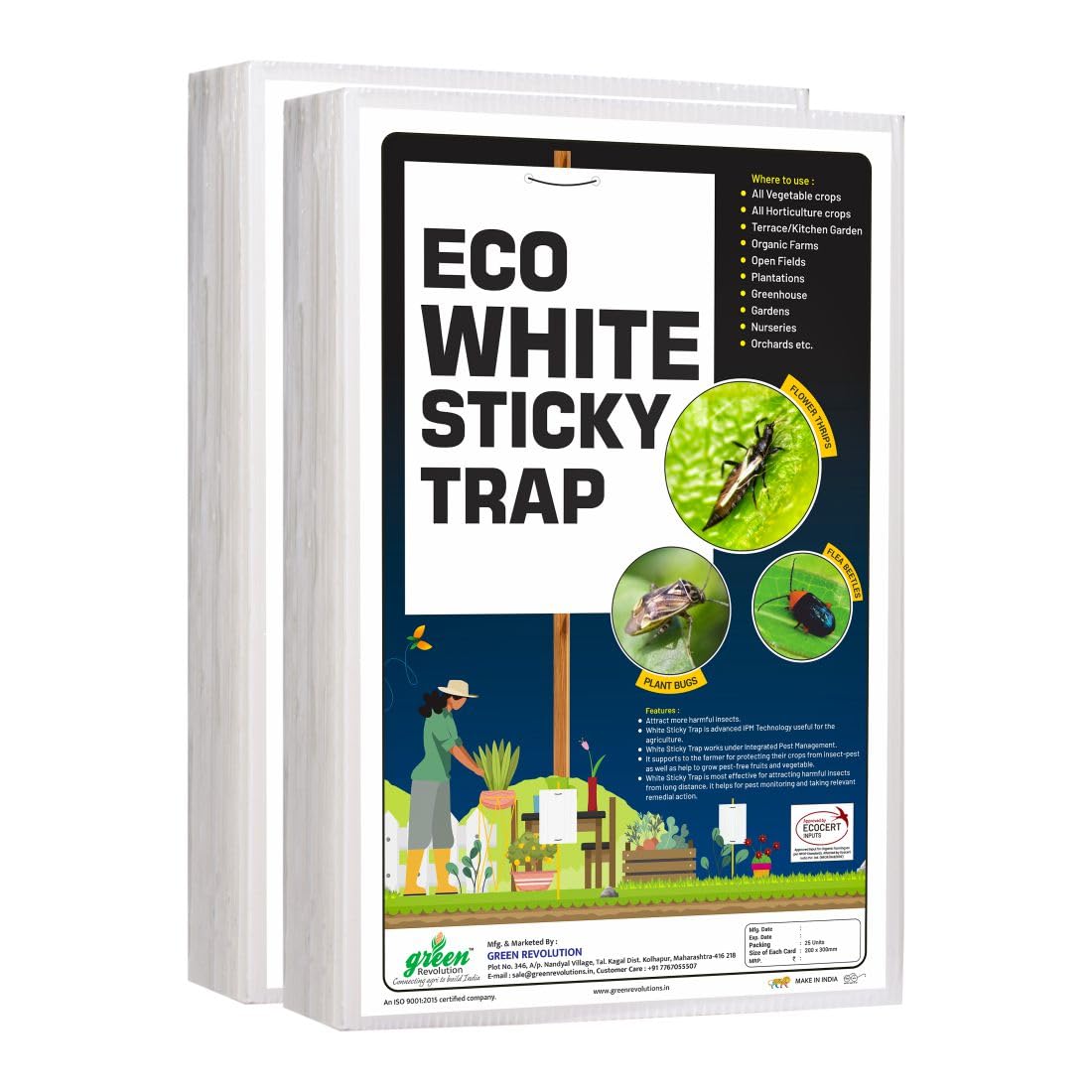 A4 Size White Sticky Traps Non-Toxic, Chemical Free Insect Trap for Fungus Gnats, Aphids, Whiteflies, Leaf Miners, Thrips Insects Pack of 1 (25 pcs).-image-38