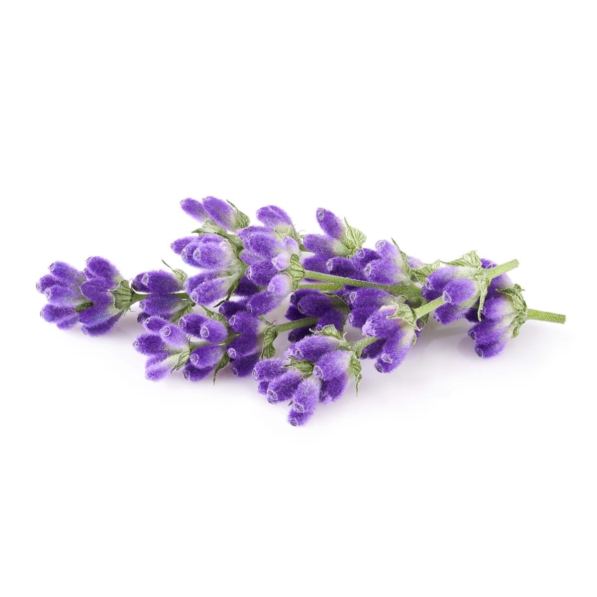 Liquid Soap Lavender & Olive Refill
