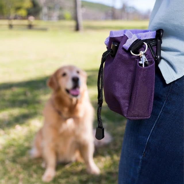 Foto 6 de 7 de Company of Animals Bolsa de golosinas para Perros - Morado
