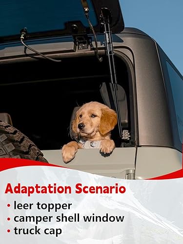 Miniatura 8 de Vepagoo C1615053 - Amortiguadores de gas de 12 pulgadas, 20 libras89N, resorte para camioneta, caja de herramientas de barco, cubierta de barco,