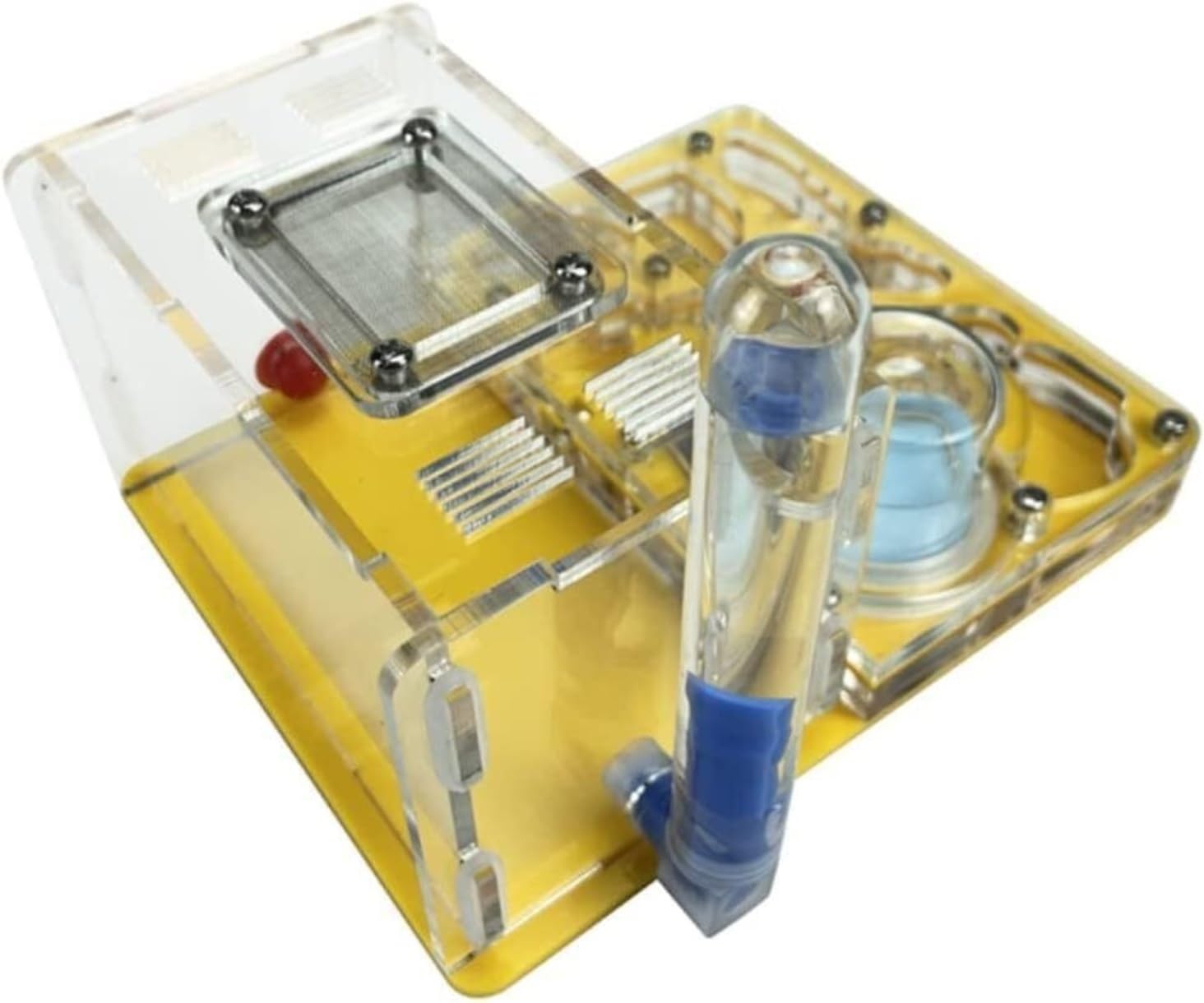Formicaio Formicaio Acrilico Castello Allevamento Idratante Nido Osservazione Scientifica Fai-da-Te Fattoria Kit Scientifico Formiche Nido(Yellow)