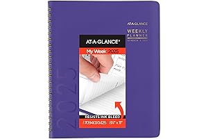 At a Glance 2025 Weekly and Monthly Planner