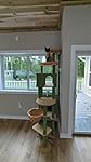 Review Image by IBuyALotOfStuffOnAmazon!