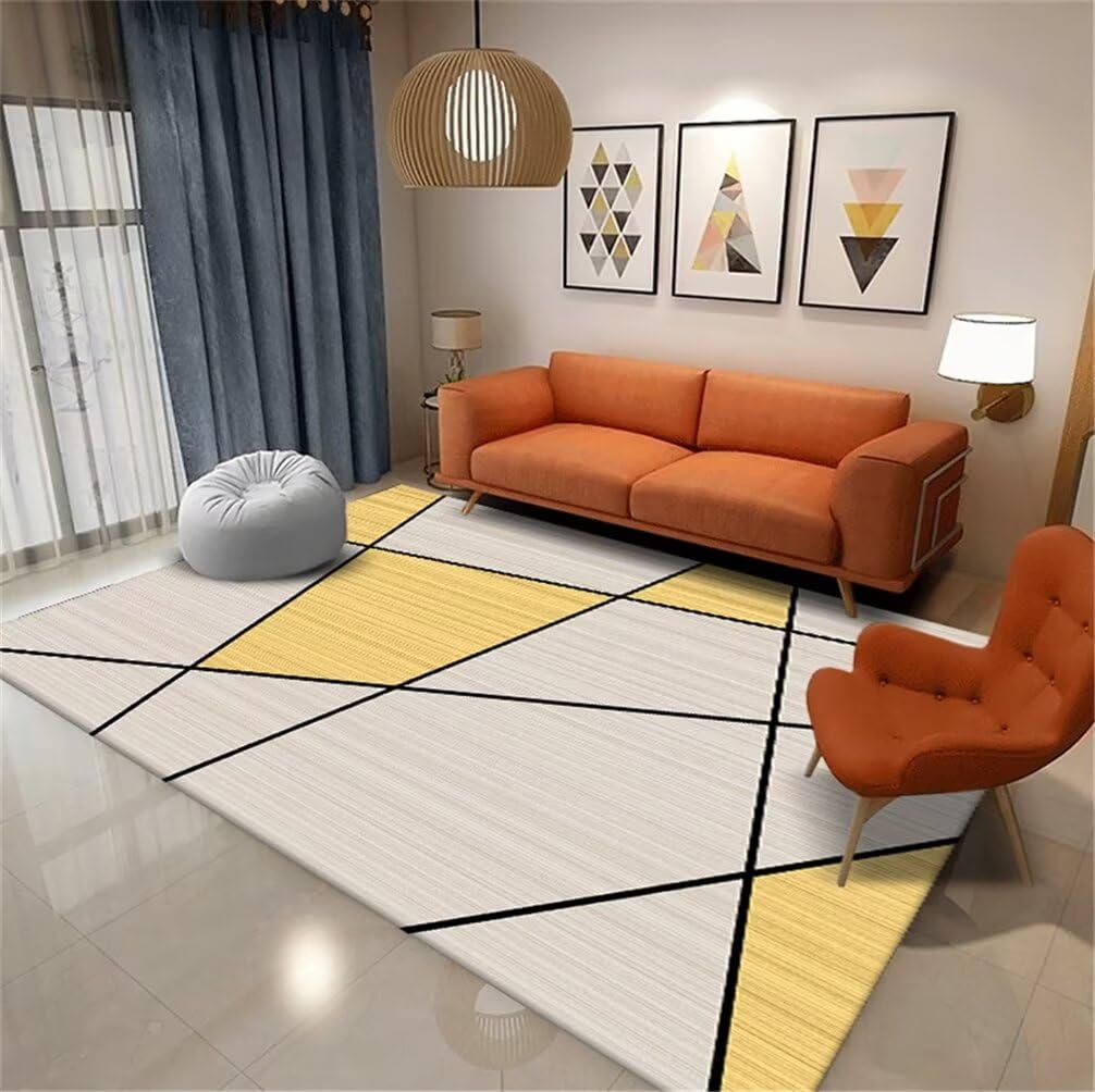 Tapis lavable et confortable 160x210 cm pour un entretien sans effort