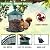 Metal Bird Feeder for Outside, Hanging Bird Feeders Squirrel Proof, 4 Lbs Capacity Iron Mesh Durable Wild Outdoor Birdfeeder with 6 Perches for Finch Cardinals,Gifts for Birds Lovers- Green