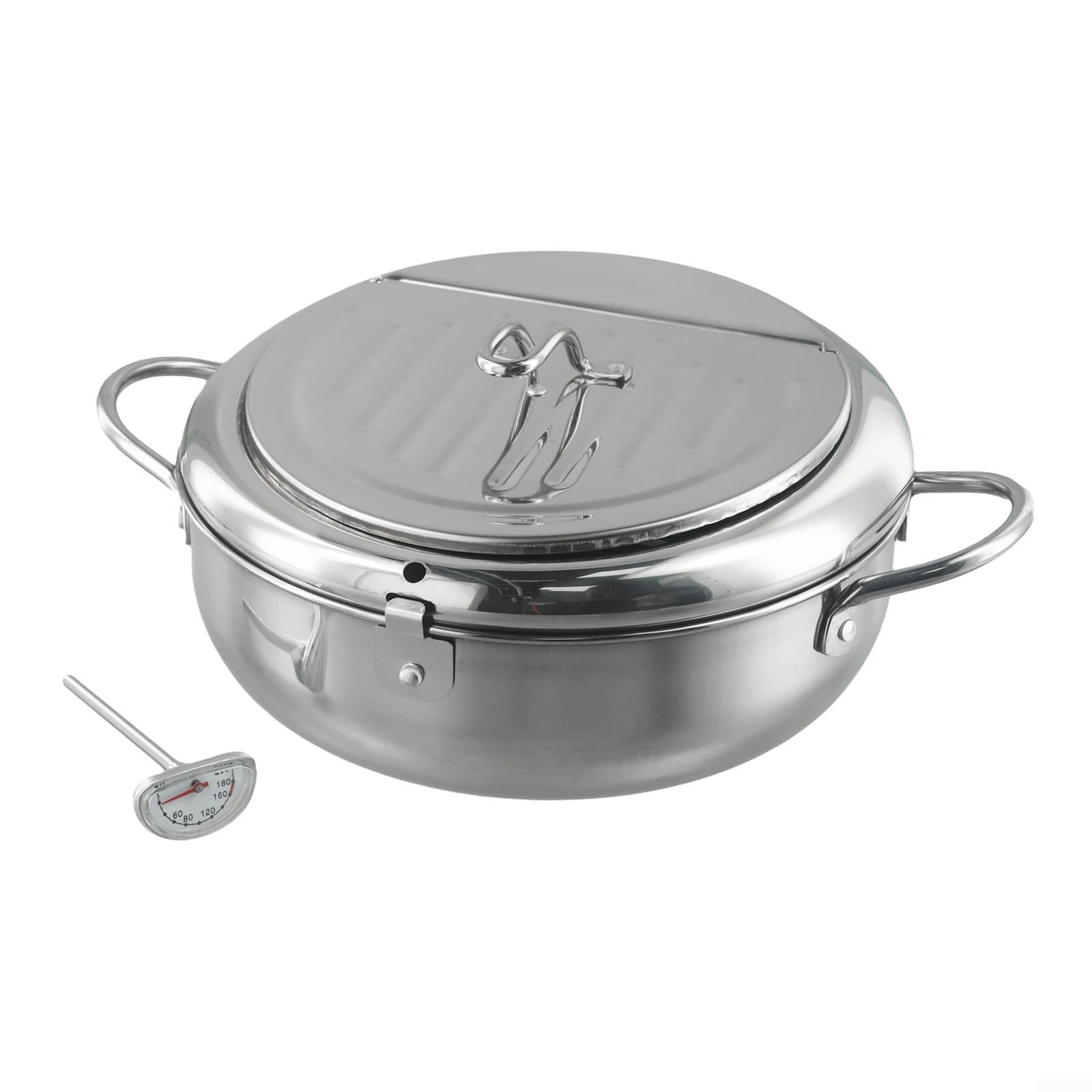 Friggitrice Acciaio 3.2L con Termometro Rimovibile Friggitrice(201+24cm)
