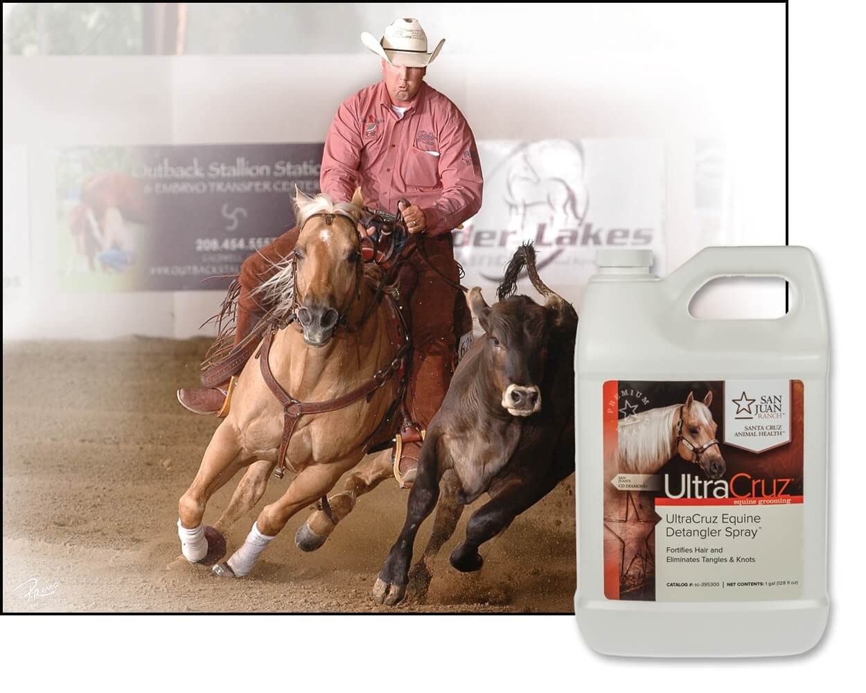 UltraCruz Spray districante equino per cavalli 1 gallone