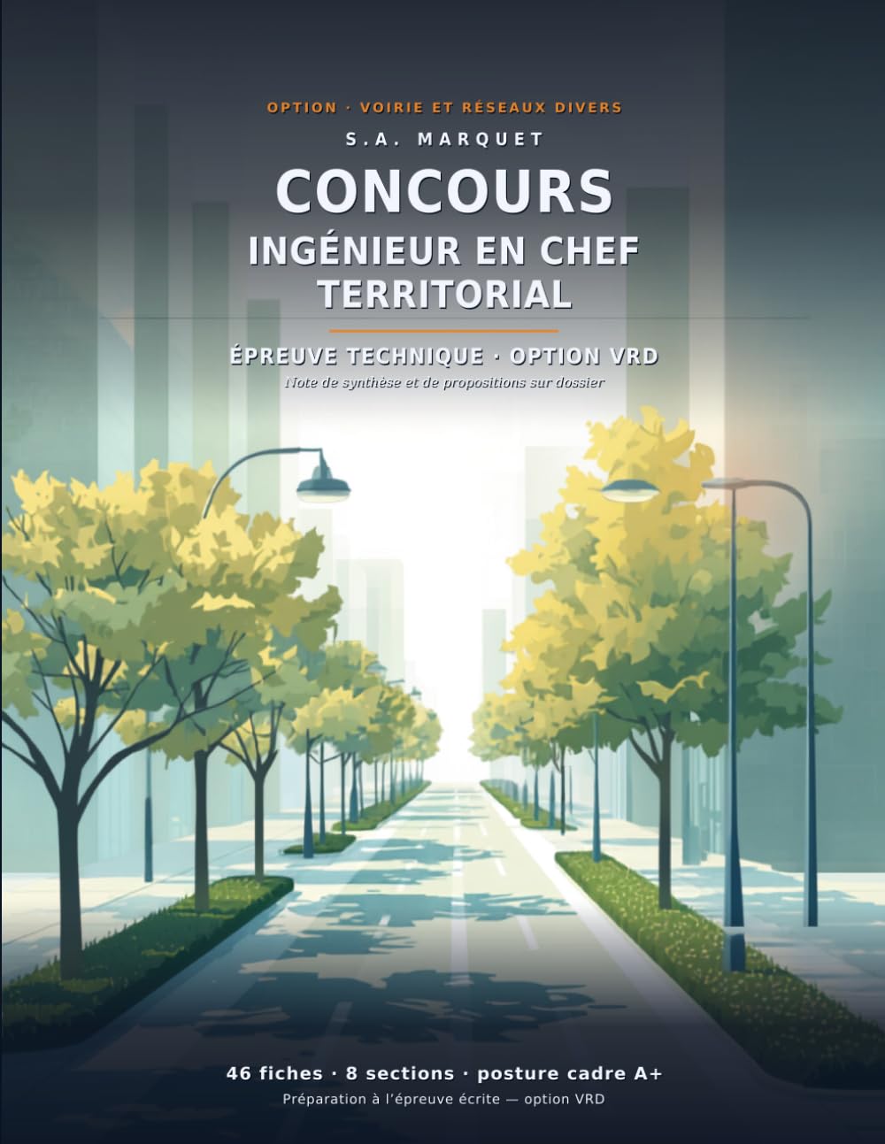Concours Ingénieur en Chef Territorial: 46 fiches - Posture cadre A+ Epreuve écrite et oral (Préparation aux concours de la fonction publique territoriale)