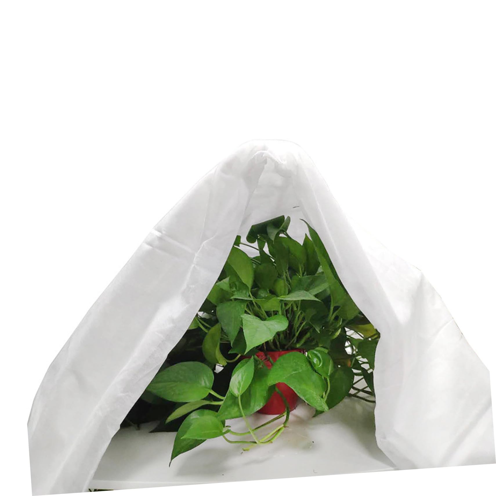 BESTonZON Tessuto Non Tessuto per Piante Copertura Protettiva Invernale Adatta per Alberi Fiori e Ortaggi Traspirante e Resistente per Proteggere da Freddo e Pioggia