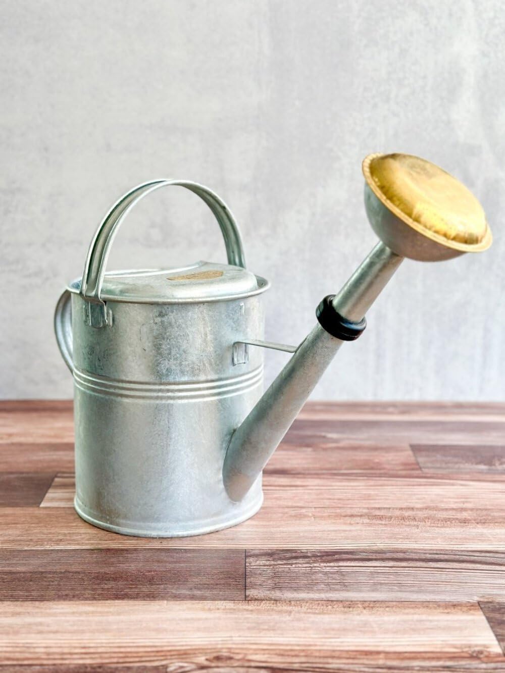 PLINT 5L Watering Can - Modern Style Watering Pot for Indoor and Outdoor House Plants - Coloured Galvanised Powder Coated Steel - Metal Design With Narrow Spout And High Handle -Winter white