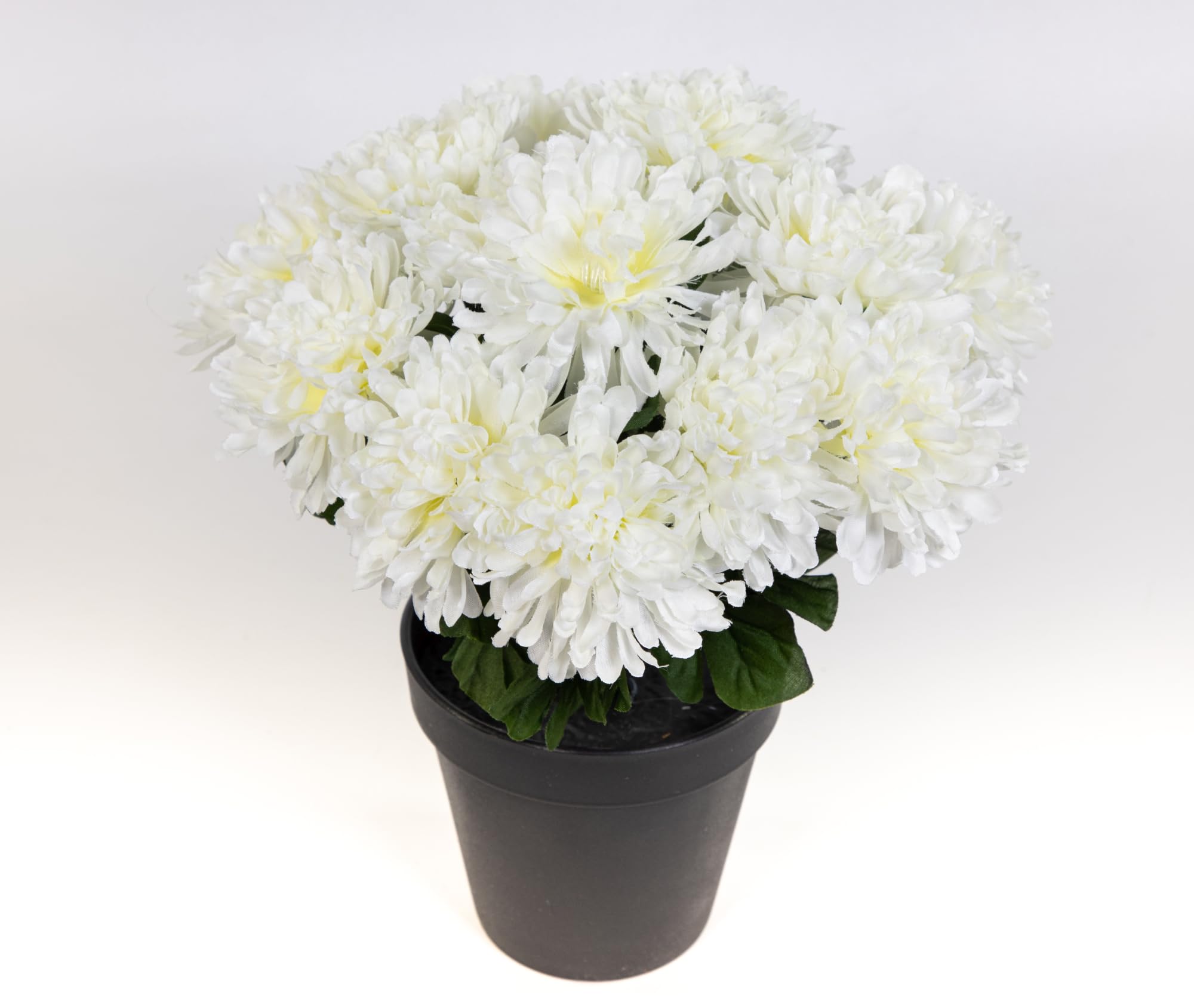 Seidenblumen Roß Chrysantheme 26cm weiß im Topf DP Kunstpflanzen künstliche Pflanzen Blumen Kunstblumen
