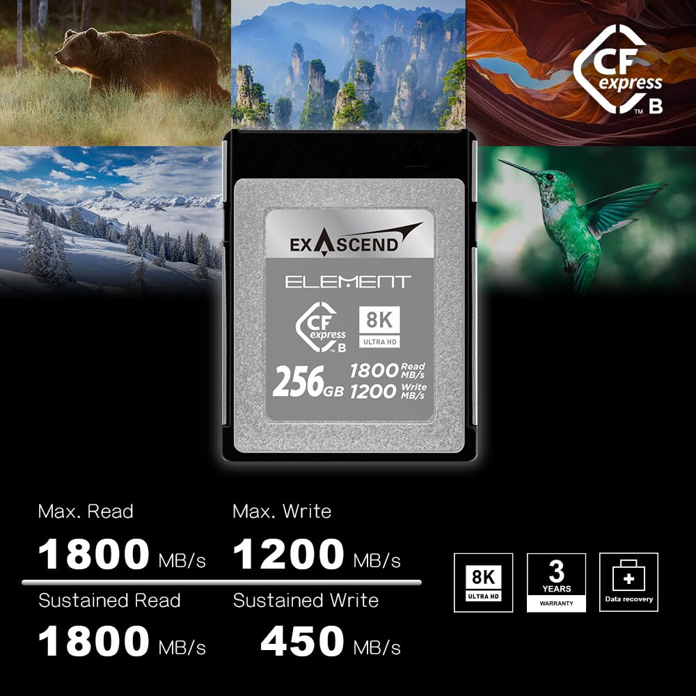 Exascend Element CFexpress tipo B de 256 GB, velocidad de escritura de 1200 MB/s, velocidad de lectura de 1800 MB/s, para video RAW 8K para cámaras DSLR y de video de grado profesional, escritura