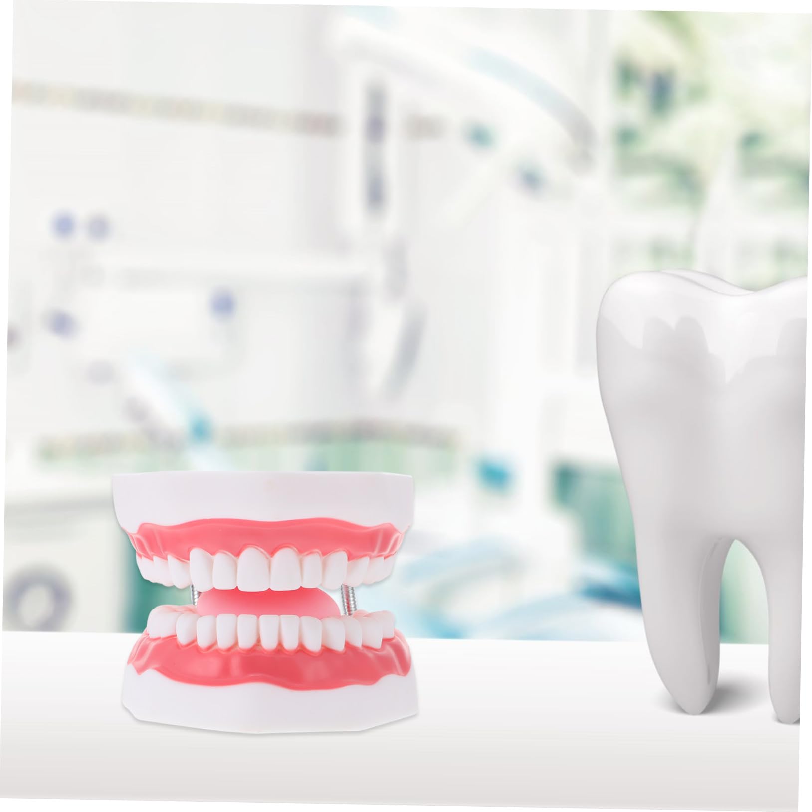 Modello Dentale per Ragazzo Ragazza in Pvc Bianco 6x con Spazzolino | Ausilio Didattico Educativo, Comunicazione Genitore-figlio, Forma Creativa