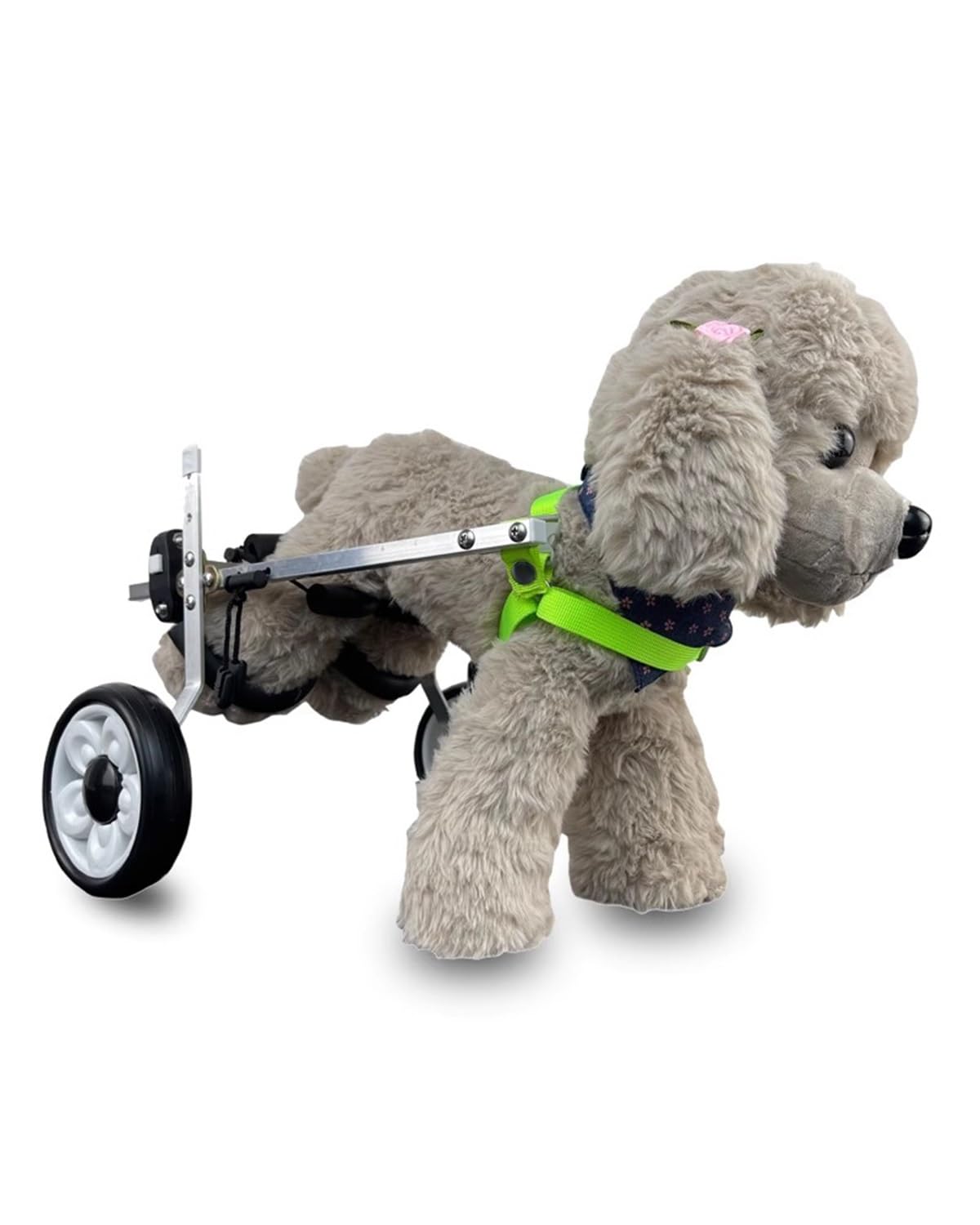 Chariot pour petits chiens et chats : redonnez-lui le bonheur de courir
