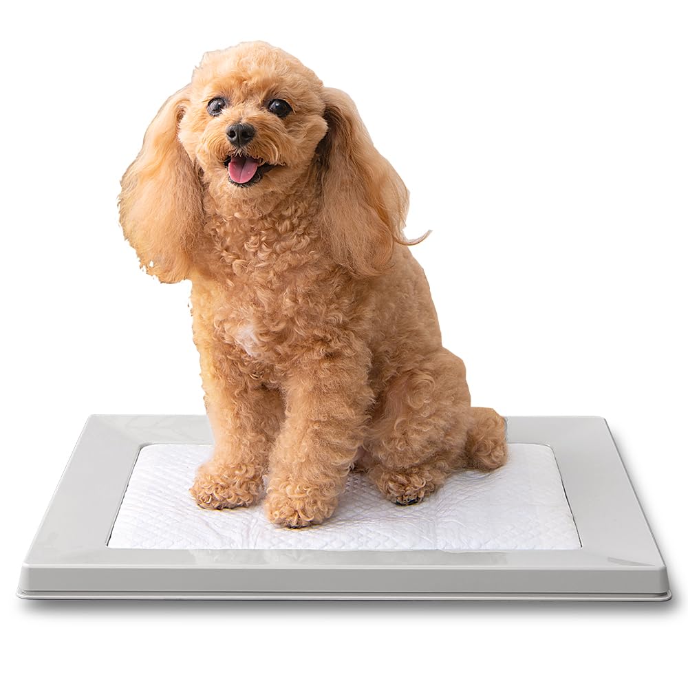 Amazon | アイリスオーヤマ 犬 トイレ しつけ おしゃれ スクエアドッグ