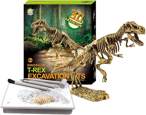 Kit de excavación de fósiles de dinosaurios para niños y adultos, STEM Science Jurassic Park, kit de excavación de fósiles de dinosaurios para