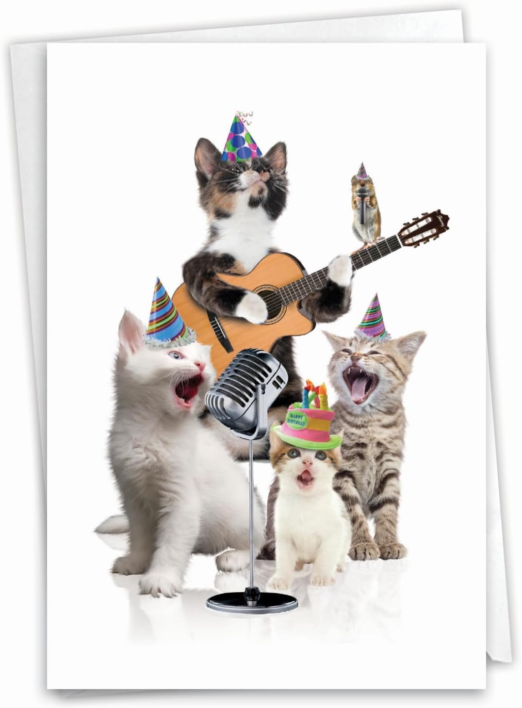 NobleWorks - Kittens Birthday Greeting Card with 5 x 7 Inch Envelope (1 Card), Fun Animal Bday Celebration - Animal Bands - Cats C9508GBDG