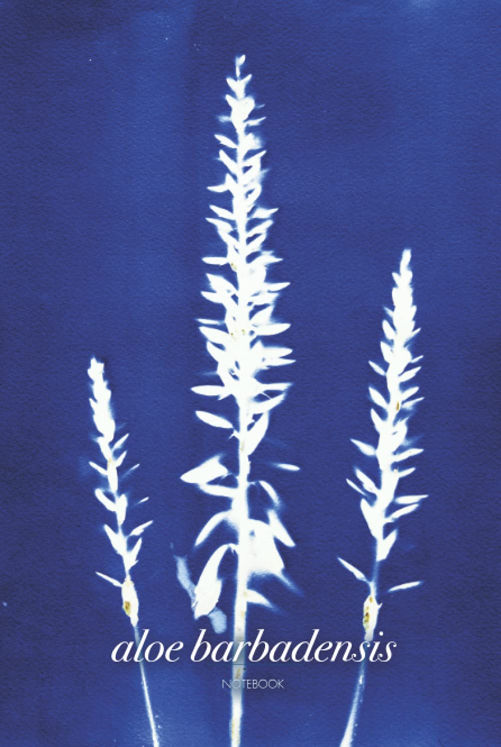 Libreta Bullet Journal. Aloe Barbadensis: Cubierta inspirada en las plantas y árboles del Mediterráneo con un bello Azul de Prusia. 100 páginas. 15,24 x 22,86 cm.