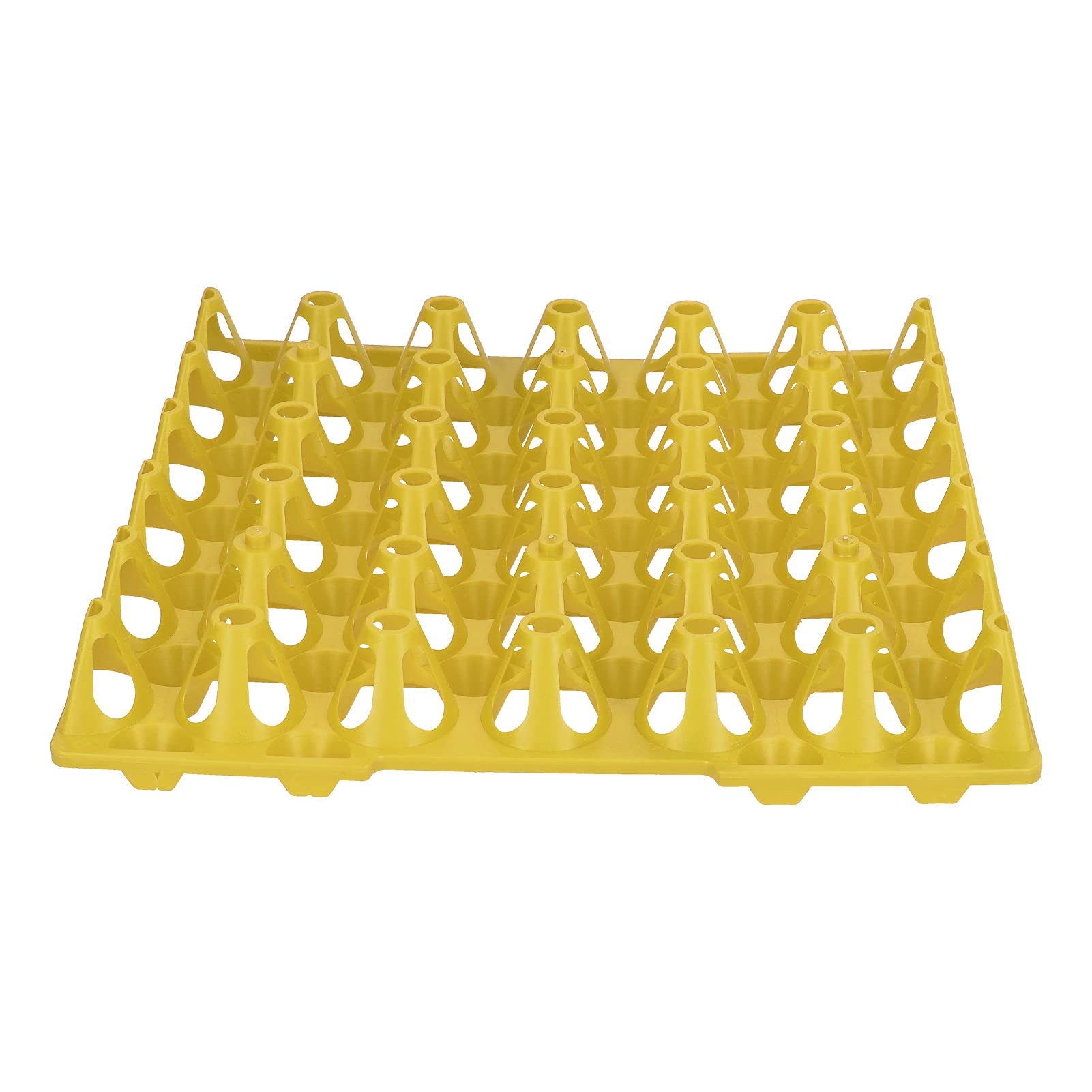 Bewinner Lot de 5 Plateaux à œufs en Plastique à 30 Cellules pour le Stockage et le Transport, Support à œufs Empilable et Réutilisable pour de Poule, Récipient à Extra Large pour Fournitures de