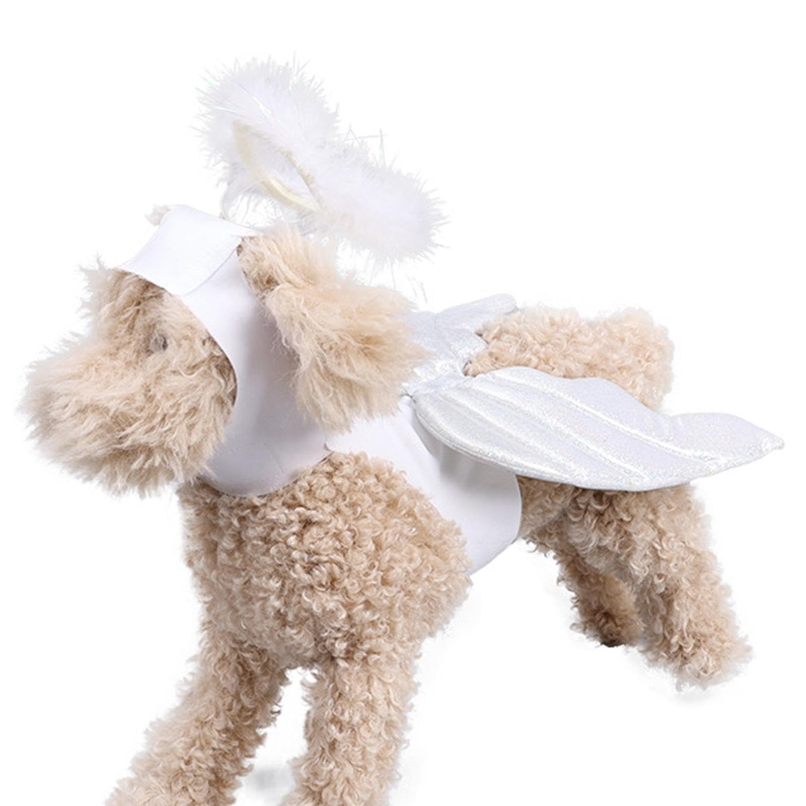 Amazon | 犬用天使の羽コスチューム、犬用天使の羽 - ハロウィン用犬服