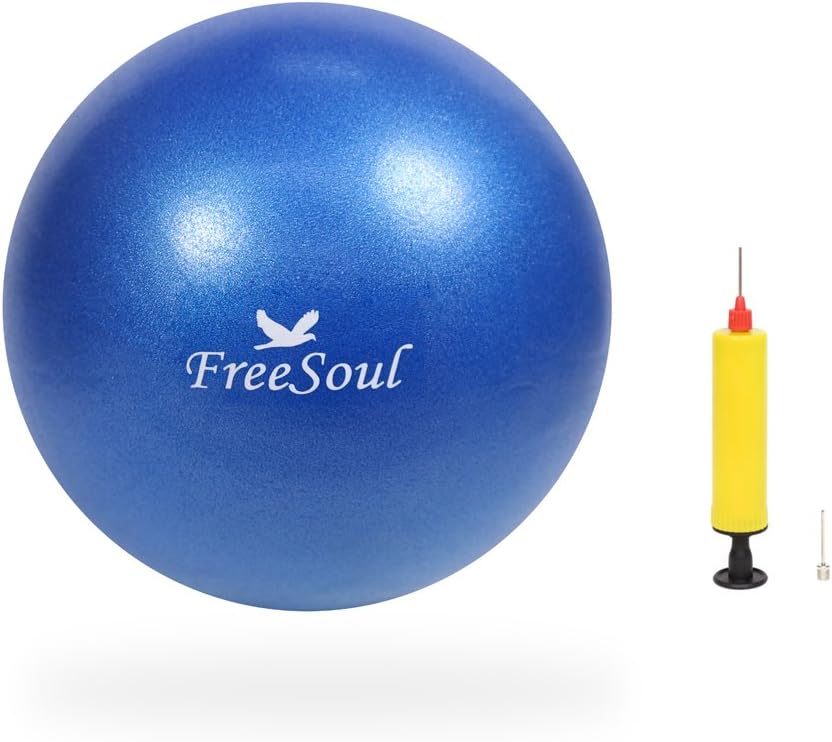 Small Pilates Ball with Pump 9 Inch Mini Bender Ball for Stability Pilates Yoga Barre Physical Therapy Core Training
