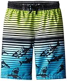 Big Chill Little Boys' Shark Striped Short