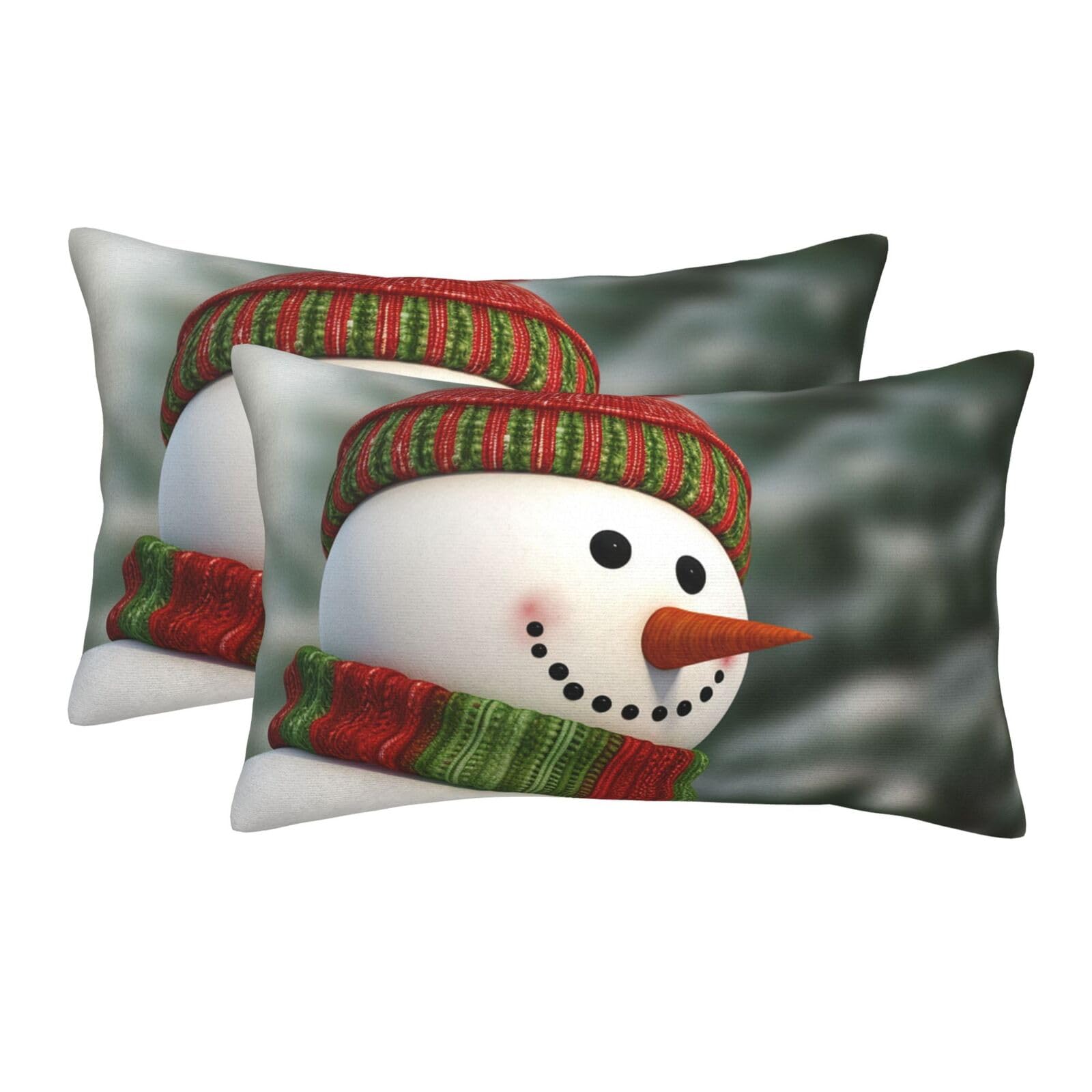 2 Pack Standard Size Pillow Cases for Hair and Skin Soft Breathable Pillow Case Covers with Hidden Zipper Smile Gaze Snowman Pillowcase 14"x20" Pillow Cover for Sleeping Gift