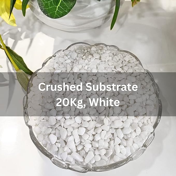 Image of BKD White Pebble Decorative Stones Marble Chips [20 Kg] for Aquarium Garden Indoor & Outdoor Decoration Pebble Stone White