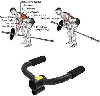 MAG ウエイトトレーニング用ハンドル MAG ウエイトトレーニング用ハンドル 楽天市場】マググリップ