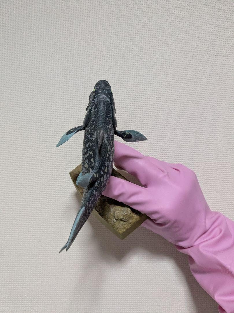 沼津港水族館限定 シーラカンス カロラータミュ ージアムモデルフィギュア 海洋堂 沼津港水族館限定 シーラカンス カロラータミュ ージアムモデル