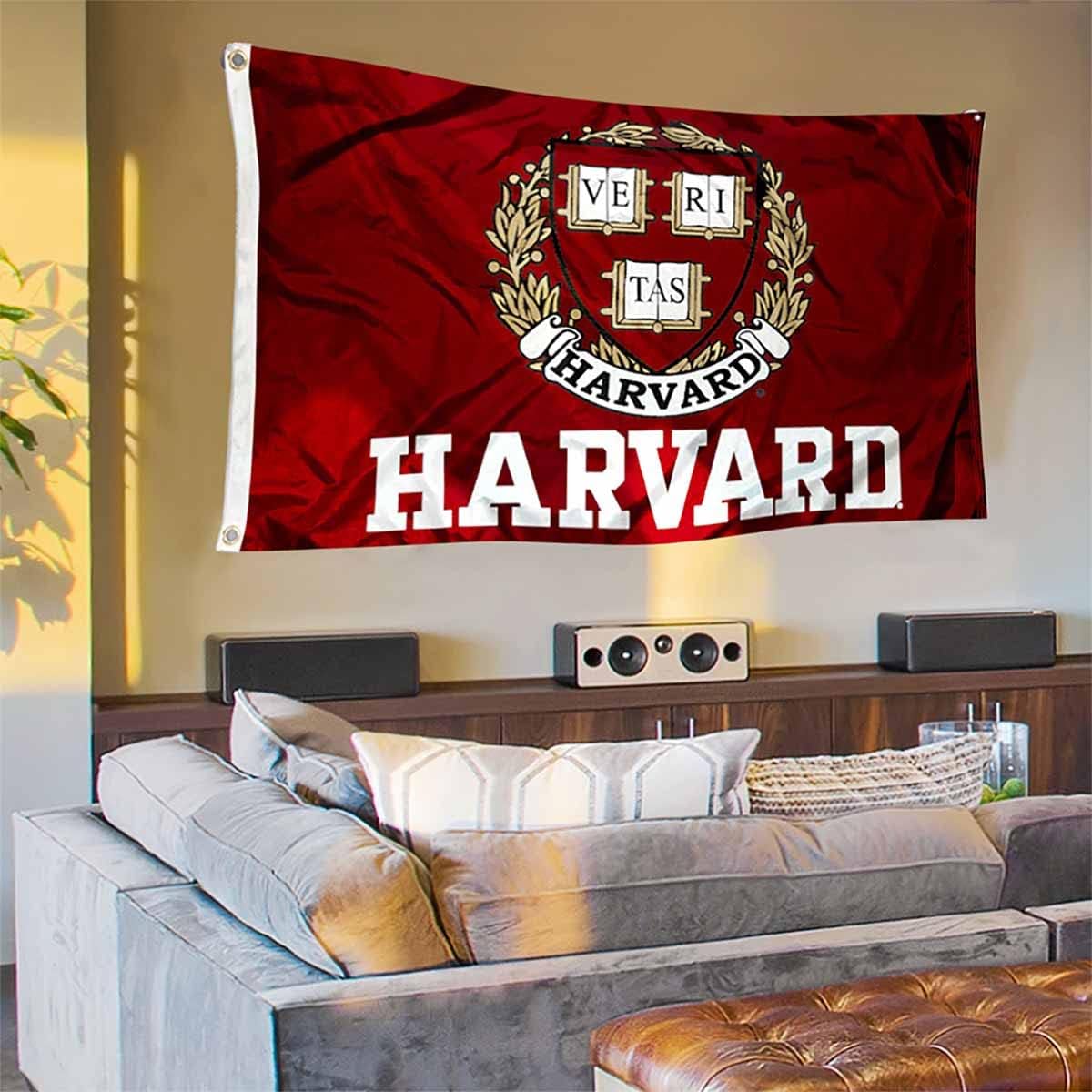 Harvard Banner and Tapestry Wall Tack Pads - Image 3