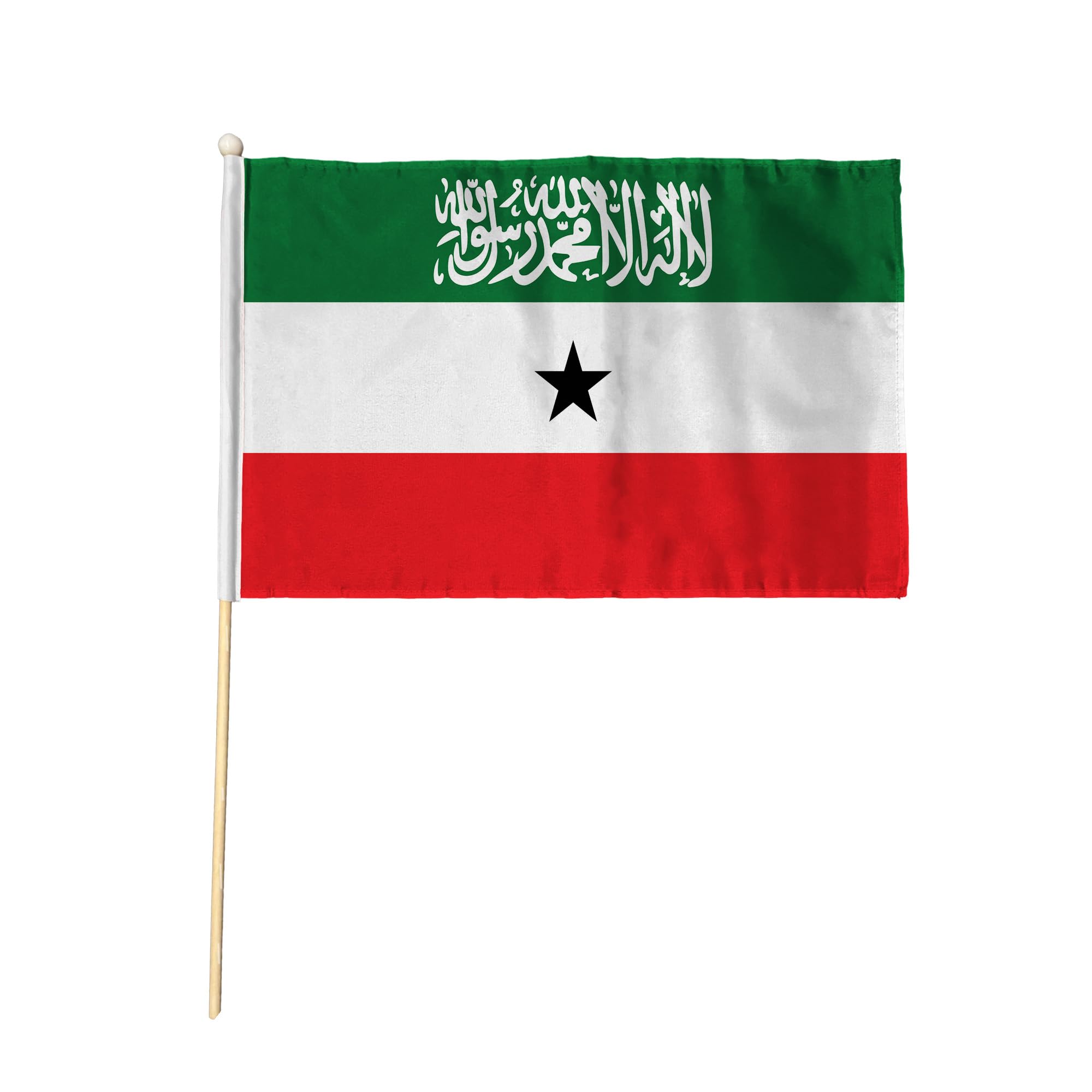 Flagtex Somaliland Pack of 6 Hand Waving Flag (18x12 Inch Large) - Premium Wooden Stick Hand Flag Big Size Natural Wood Pole Somaliland Regional Flag Events Celebrations Cultural Festivals