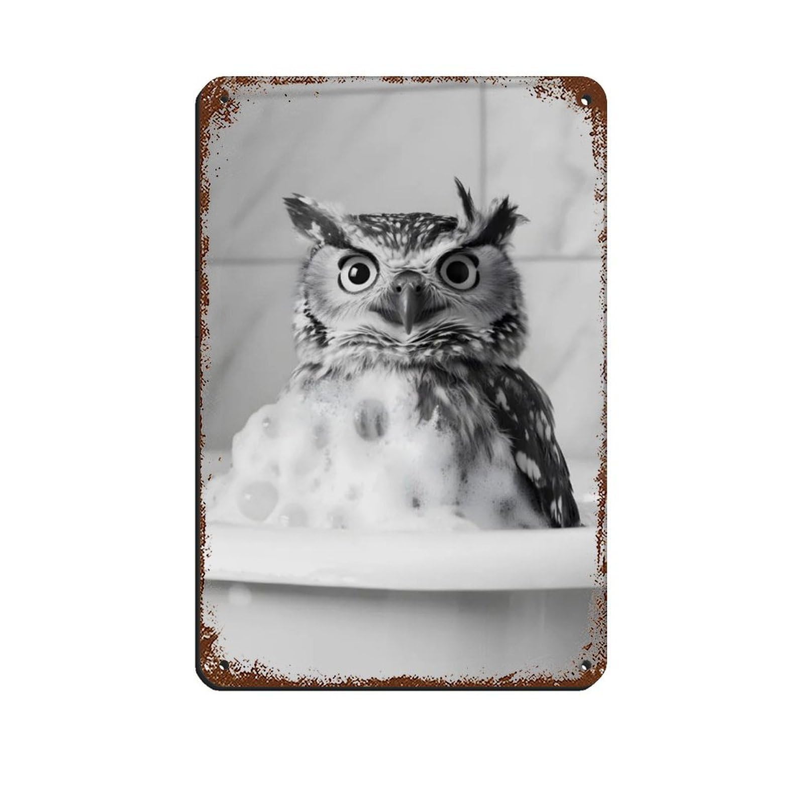 Owl in The Bathtub, Cute Bathroom Art Tin Sign Vintage Metal Pub Club Cafe Bar Home Wall Art Decoration Poster Retro 8x12inch(20x30cm)