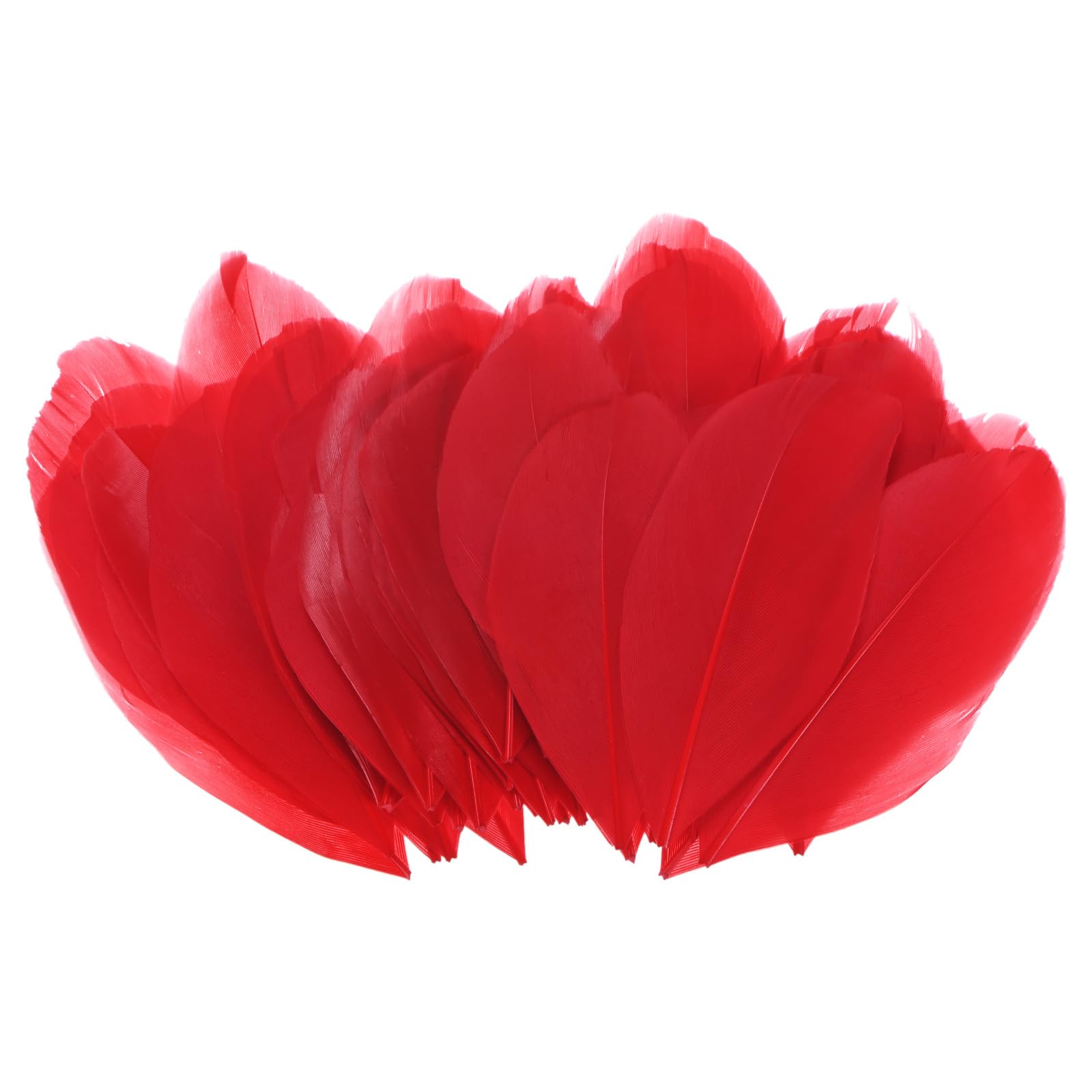 M METERXITY 100-Pack Goose Feathers