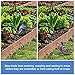 Bird-X PE-Plus Premium Bird Net, Ideal for Gardens and Commerical Applications, Durable Polyethylene Mesh Netting, 3/4