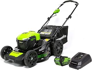 40V 20-Inch Cordless Lawn Mower, 4Ah Battery and Charger Included LMF421