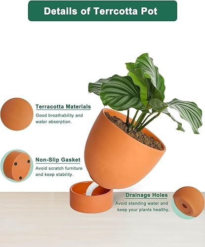 Miniatura 3 de Maceta de terracota rosa con riego automático, 2 macetas de terracota de 6 y 8 pulgadas con orificio de drenaje y platillo, maceta de arcilla