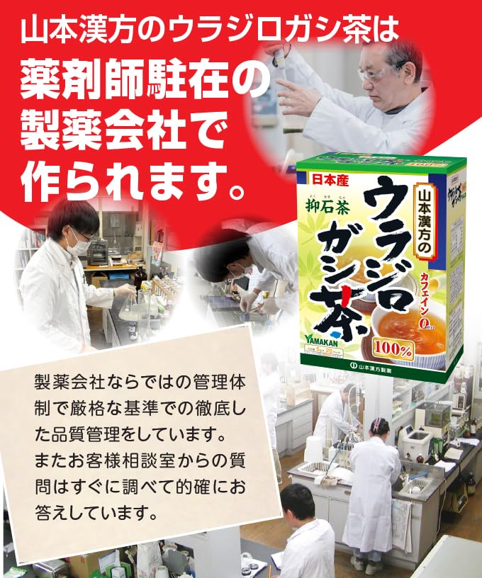 Amazon.co.jp: 山本漢方製薬 ウラジロガシ茶100% 5gX20H : 食品・飲料