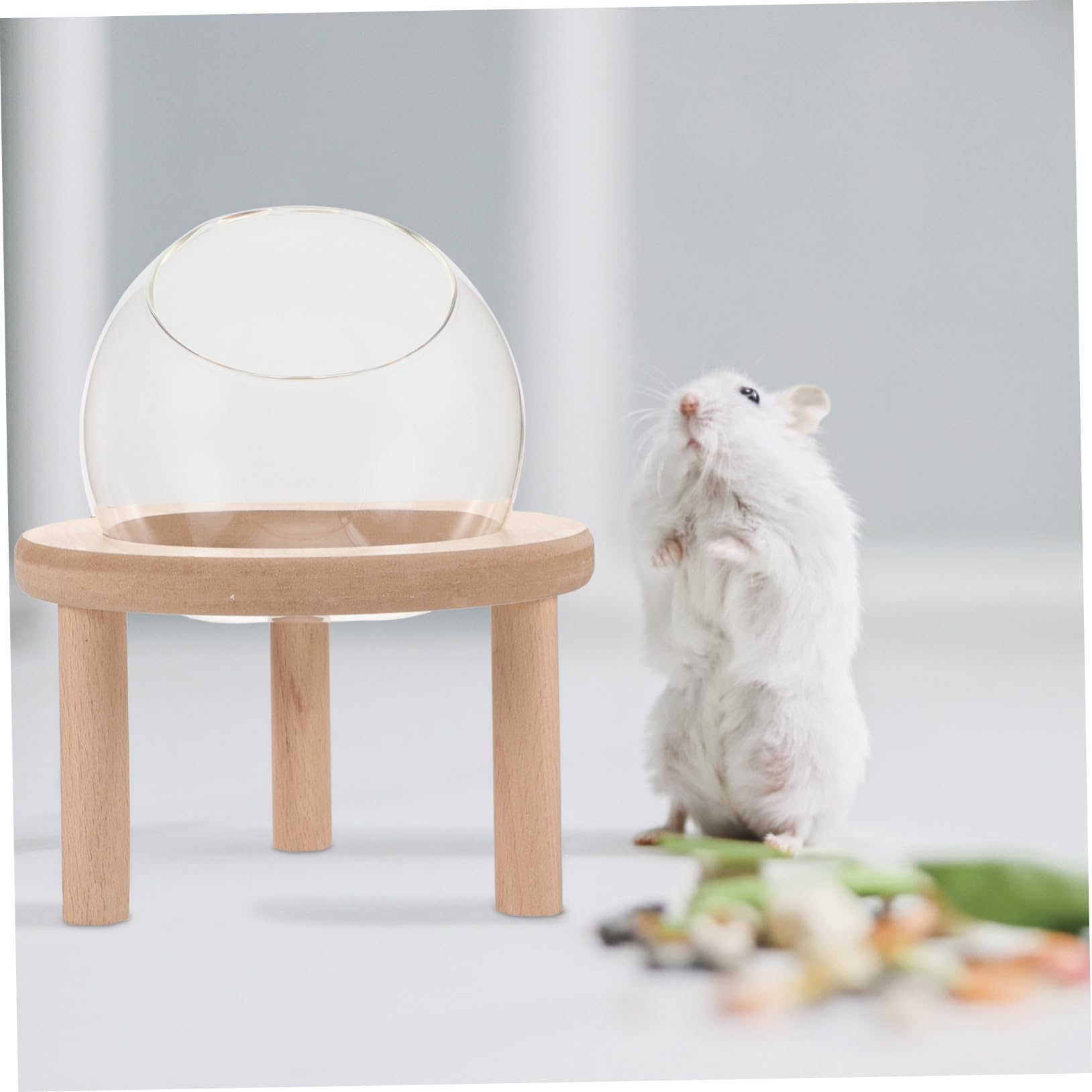 TOYANDONA Transparente Kleine Hamsterbadewanne aus Glas und Holz Sicheres Sandbad für Hamster und Meerschweinchen im Heimgebrauch