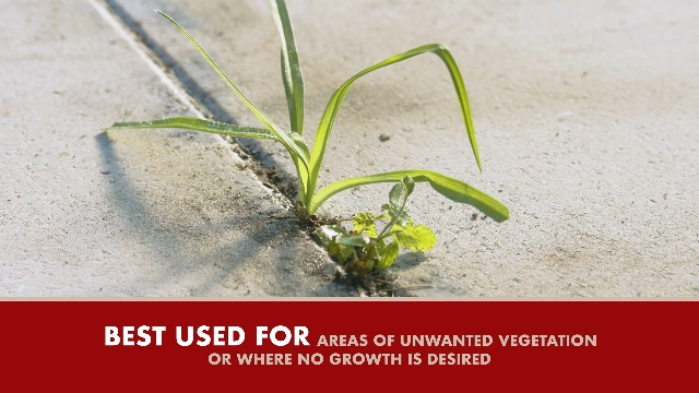 Image of Spectracide Weed And Grass Killer Concentrate 32 Ounces, Use On Patios, Walkways And Driveways, 6 Pack